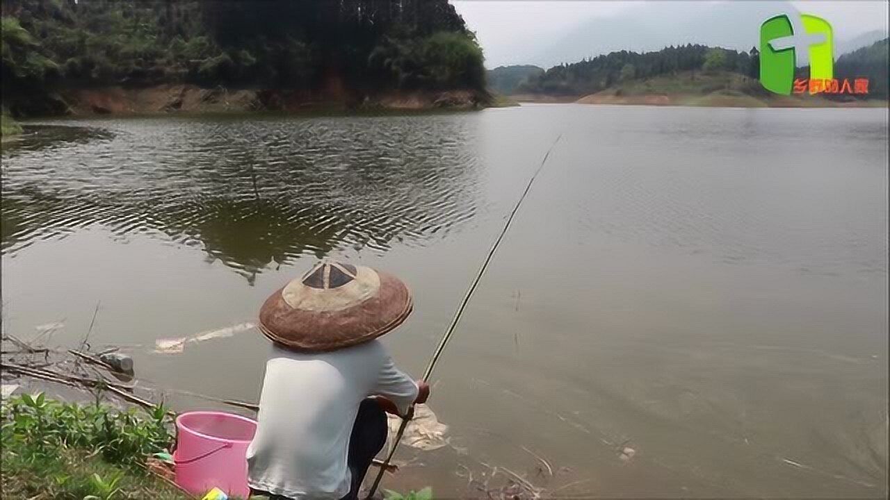 钓鱼报警器主机