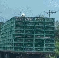 我抱走了主机