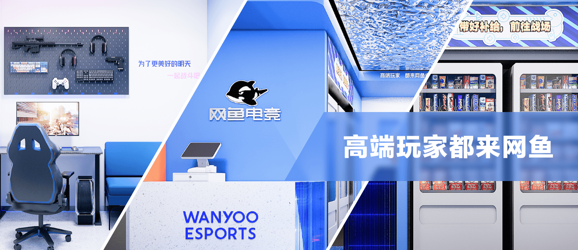 网鱼的主机