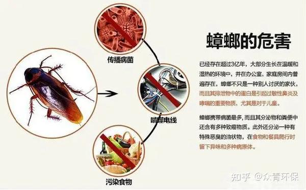 蟑螂怎么跑进主机