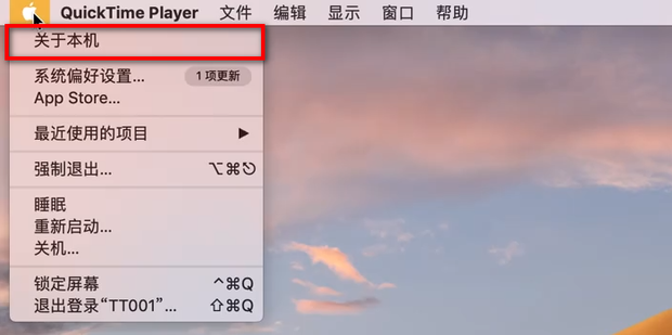 苹果电脑主机出厂号在哪个位置