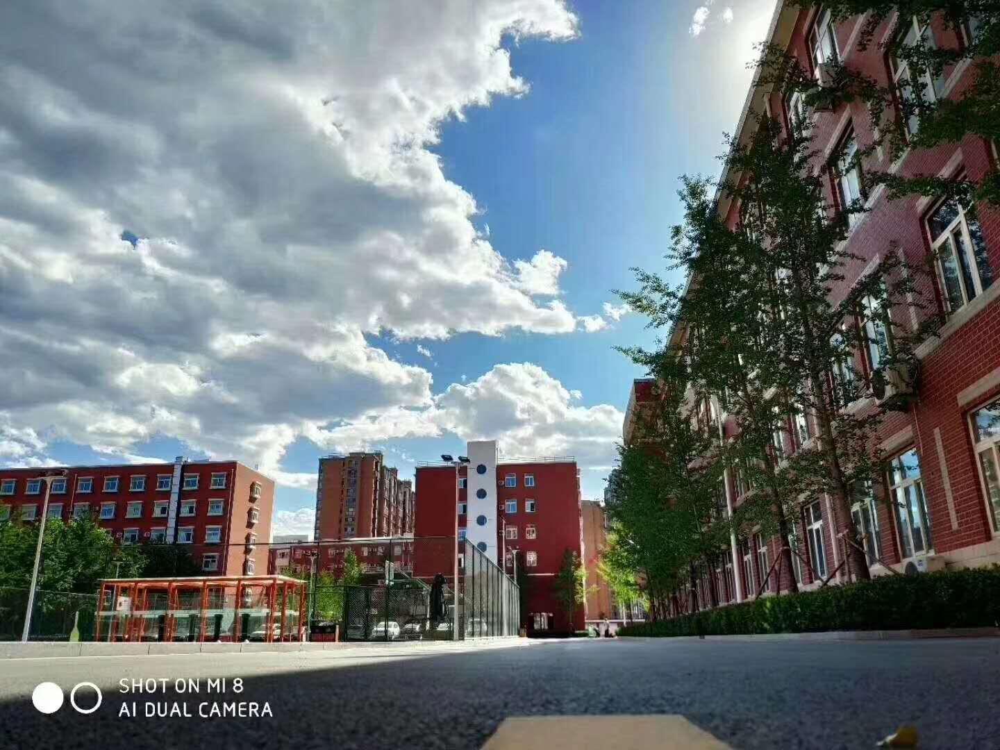 北大青鸟主机回路板