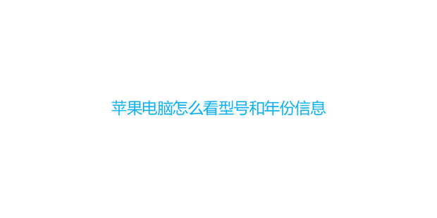 苹果电脑主机出厂号在哪个位置