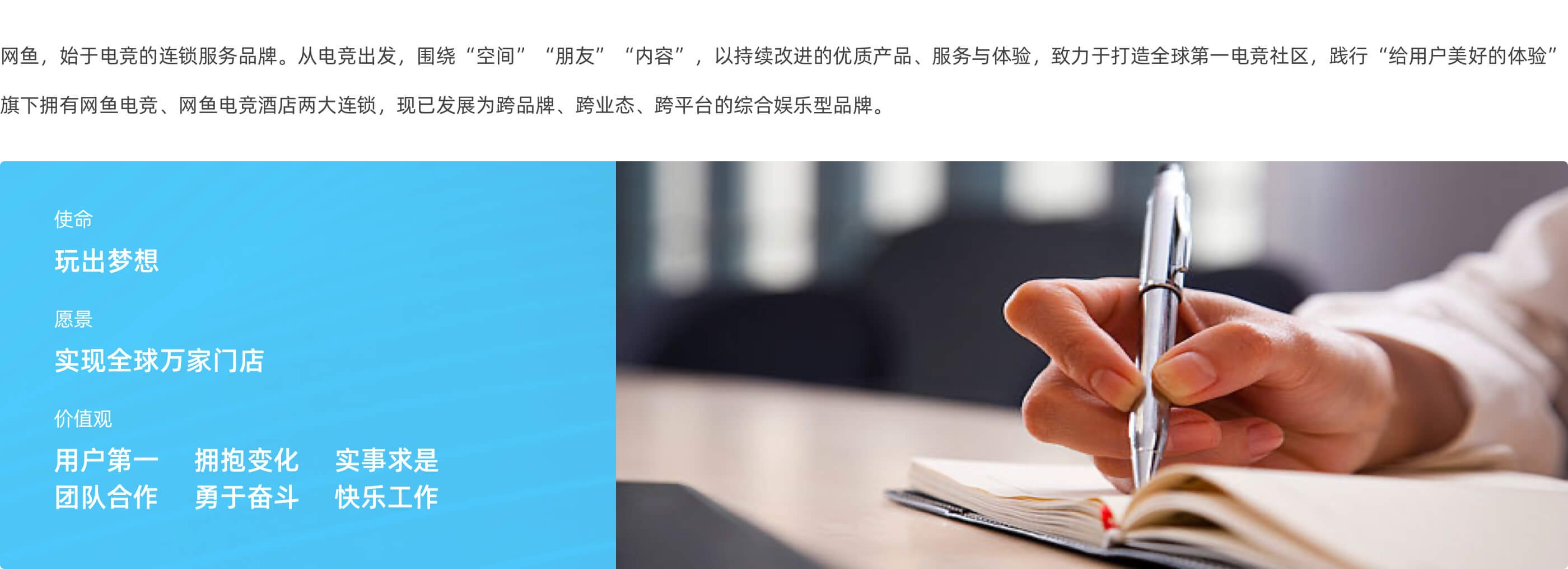网鱼的主机