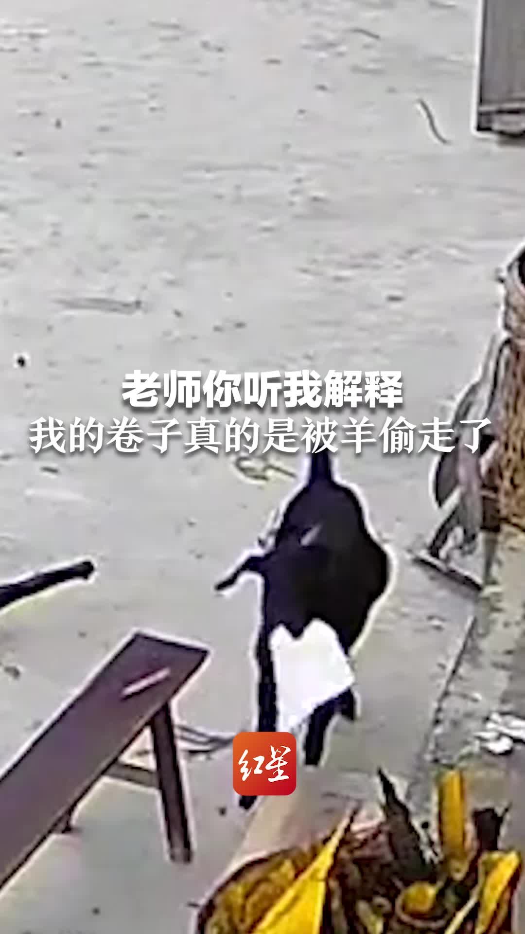 偷走了主机